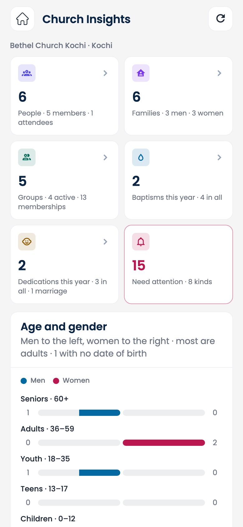 Church Insights in the ChurchDiary app: people, families, groups, baptisms and dedications, what needs attention, and age and gender